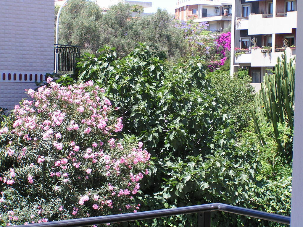 Anania Cagliari Quarto foto